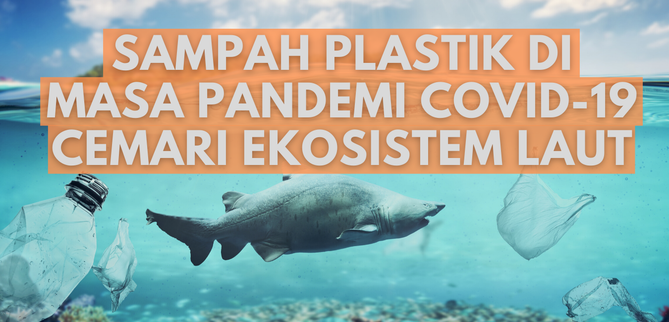 Penangkapan ikan secara berlebihan berdampak pada