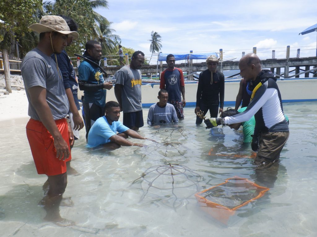 Praktek Rehabilitasi Terumbu Karang (4)