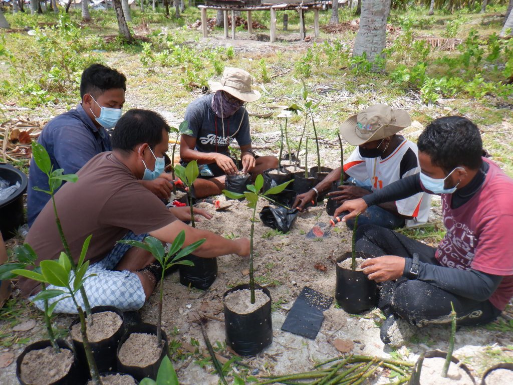 Proses Pemindaan Bibit ke Polybag (6)