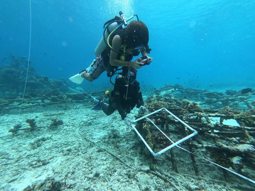 Community-based Coral Reef Survey_Gili Matra_12 September 2021