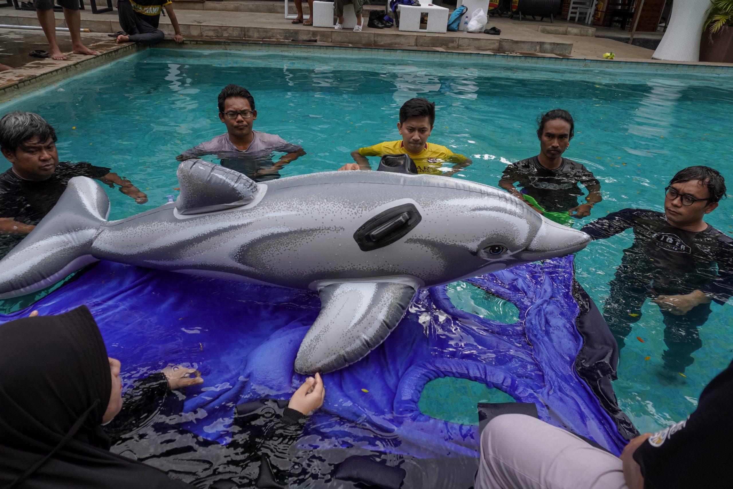 Dicky Bisinglasi for Reef Check ID - Pelatihan Penanganan Mamalia Terdampar