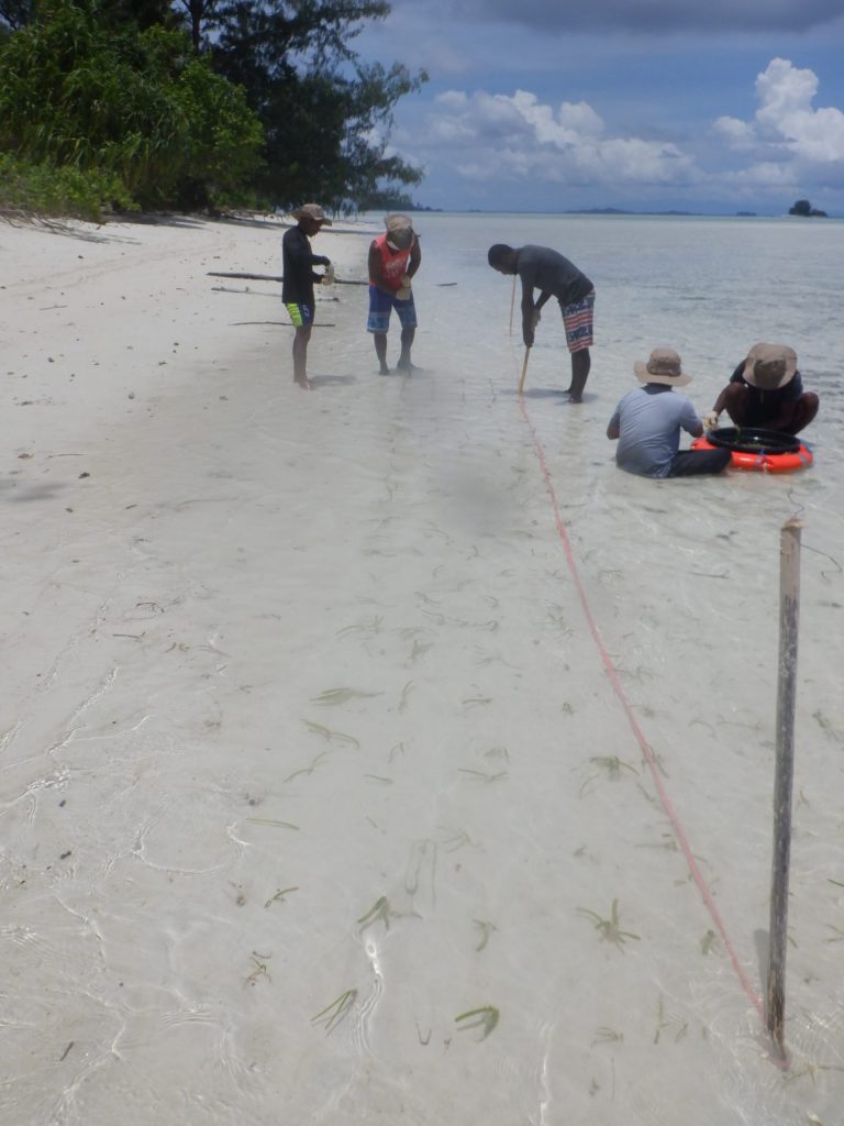 Workshop Rehabilitasi Ekosistem Pesisir (Praktek Rehabilitasi Lamun) di SAP Raja Ampat