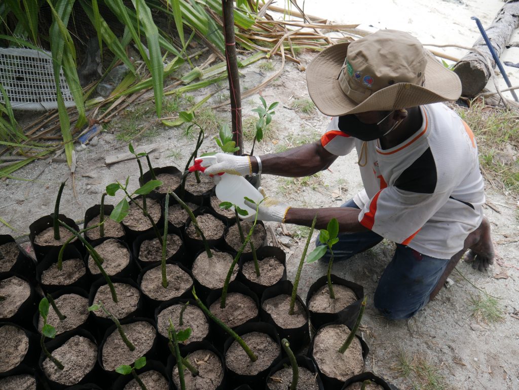 Workshop Rehabilitasi Ekosistem Pesisir (Praktek Rehabilitasi Mangrove) di SAP Raja Ampat