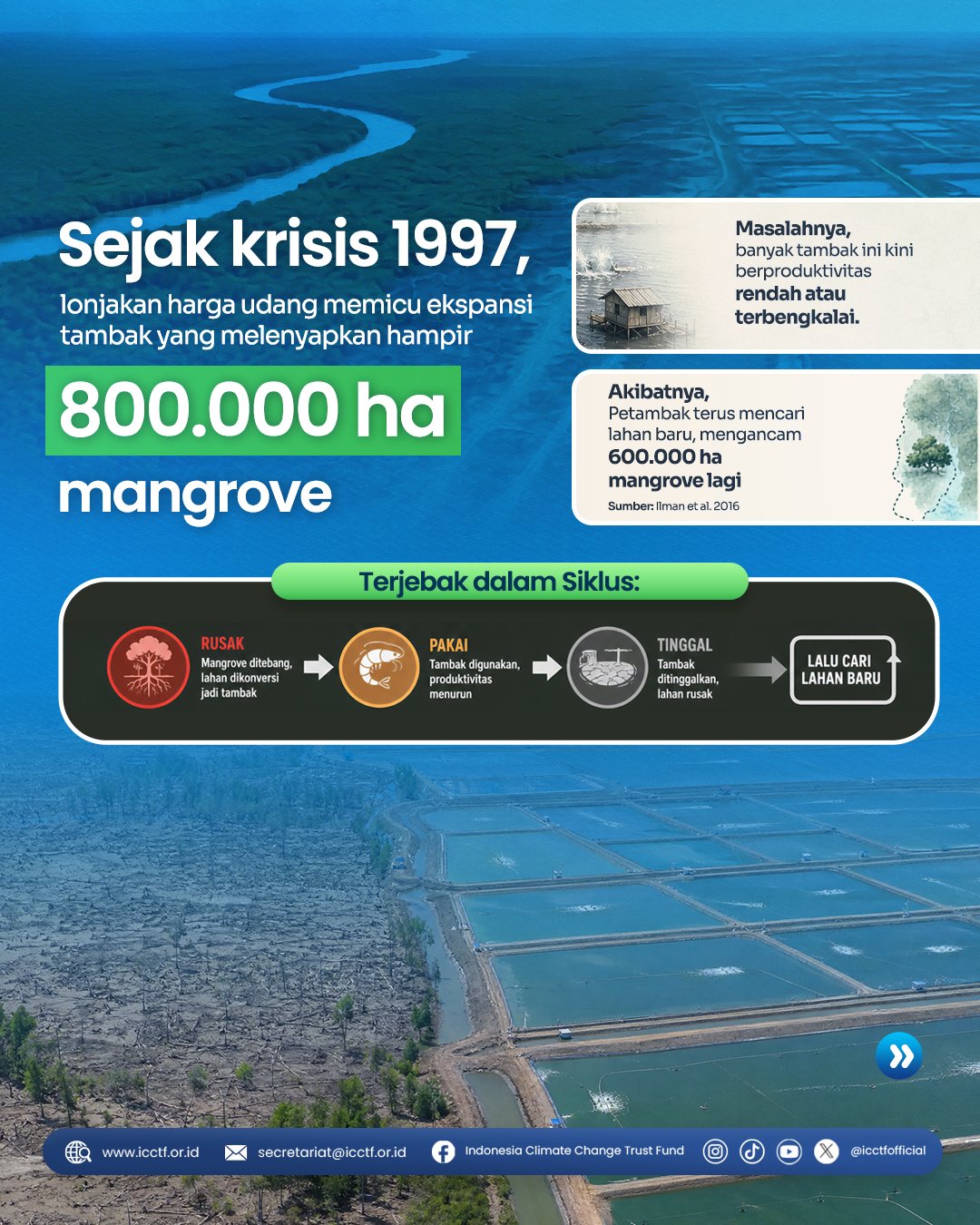 Sejak krisis 1997 - 800.000 ha mangrove hilang